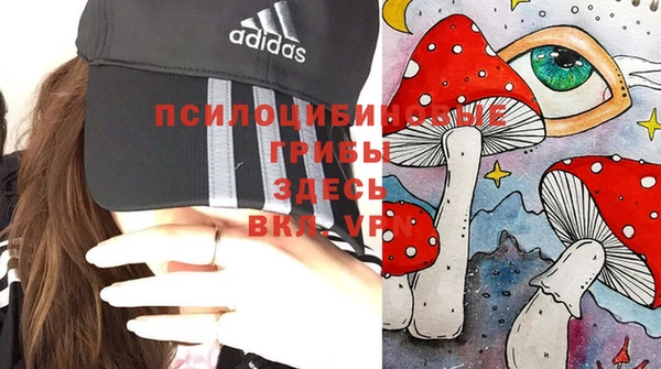 PSILOCYBIN Абинск