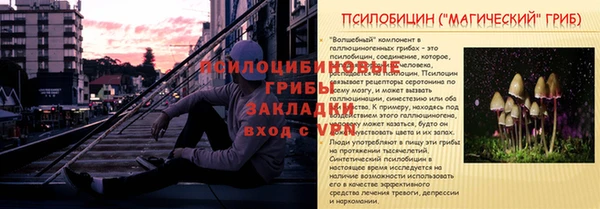 PSILOCYBIN Абинск